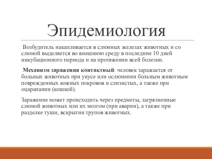 Эпидемиология Возбудитель накапливается в слюнных железах животных и со слюной выделяется во