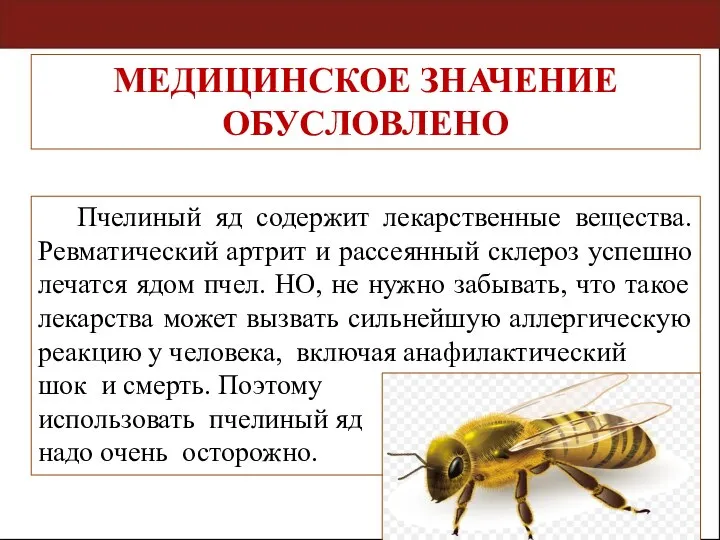 Пчелиный яд содержит лекарственные вещества. Ревматический артрит и рассеянный склероз успешно лечатся