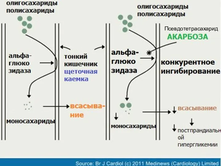 Псевдотетрасахарид