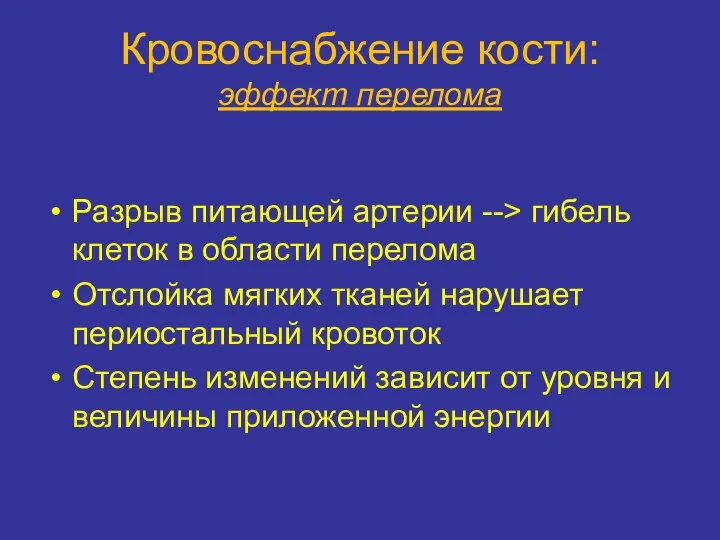 Кровоснабжение кости: эффект перелома Разрыв питающей артерии --> гибель клеток в области