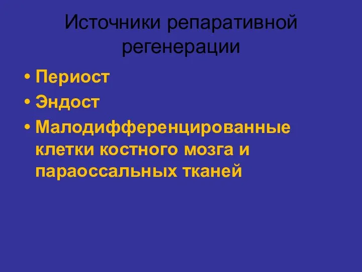 Источники репаративной регенерации Периост Эндост Малодифференцированные клетки костного мозга и параоссальных тканей