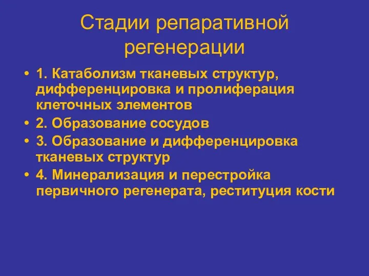 Стадии репаративной регенерации 1. Катаболизм тканевых структур, дифференцировка и пролиферация клеточных элементов