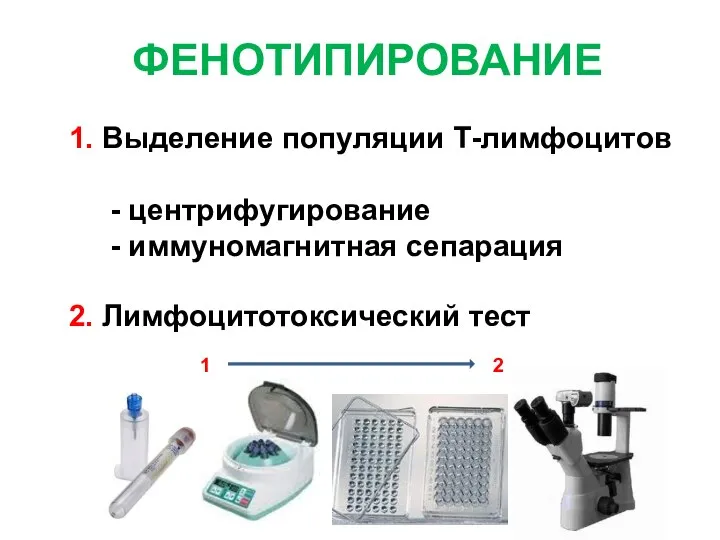 ФЕНОТИПИРОВАНИЕ 1. Выделение популяции Т-лимфоцитов - центрифугирование - иммуномагнитная сепарация 2. Лимфоцитотоксический тест 1 2