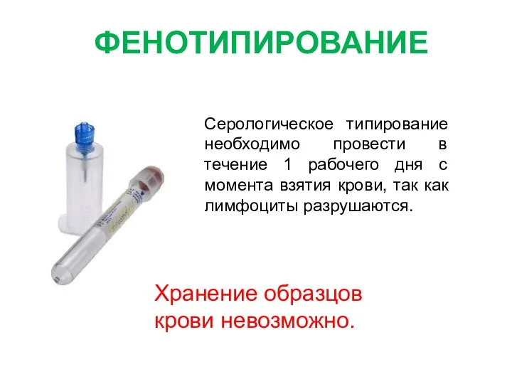 ФЕНОТИПИРОВАНИЕ Серологическое типирование необходимо провести в течение 1 рабочего дня с момента