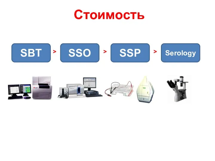 Стоимость SBT SSO SSP Serology > > >