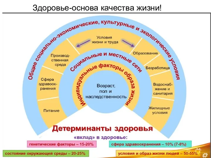 Здоровье-основа качества жизни!