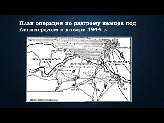 План операции по разгрому немцев под Ленинградом в январе 1944 г.