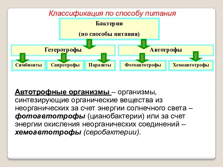 Бактерии (по способы питания) Гетеротрофы Автотрофы Симбионты Сапротрофы Паразиты Фотоавтотрофы Хемоавтотрофы Автотрофные