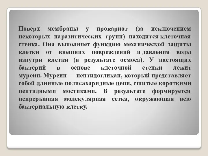 Поверх мембраны у прокариот (за исключением некоторых паразитических групп) находится клеточная стенка.