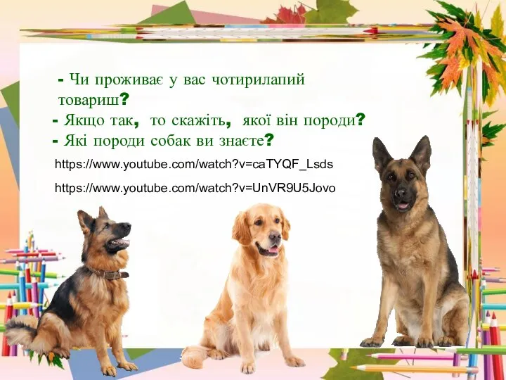 - Чи проживає у вас чотирилапий товариш? Якщо так, то скажіть, якої