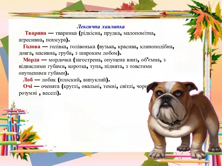 Лексична хвилинка Тварина — тваринка (рідкісна, прудка, малопомітна, агресивна, похмура). Голова —