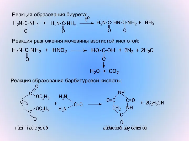 Реакция образования биурета: Реакция разложения мочевины азотистой кислотой: Реакция образования барбитуровой кислоты: