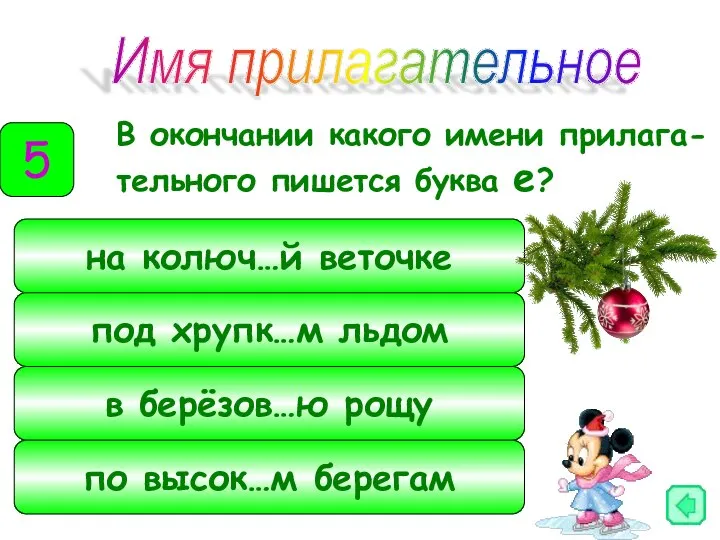 В окончании какого имени прилага-тельного пишется буква е? Имя прилагательное 5 на