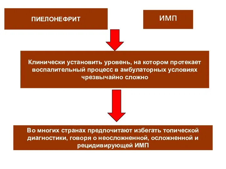 ПИЕЛОНЕФРИТ имп Клинически установить уровень, на котором протекает воспалительный процесс в амбулаторных