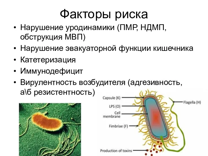 Факторы риска Нарушение уродинамики (ПМР, НДМП, обструкция МВП) Нарушение эвакуаторной функции кишечника