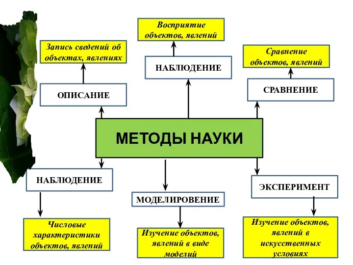 МЕТОДЫ НАУКИ НАБЛЮДЕНИЕ МОДЕЛИРОВЕНИЕ Восприятие объектов, явлений Сравнение объектов, явлений СРАВНЕНИЕ Запись