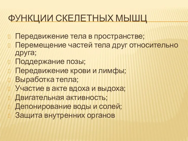 ФУНКЦИИ СКЕЛЕТНЫХ МЫШЦ Передвижение тела в пространстве; Перемещение частей тела друг относительно