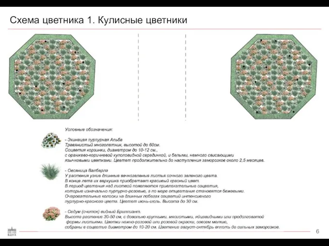 Схема цветника 1. Кулисные цветники