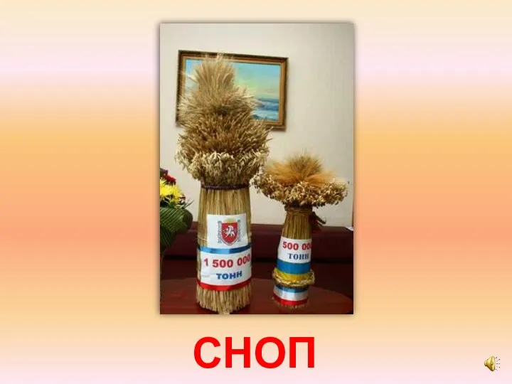 СНОП