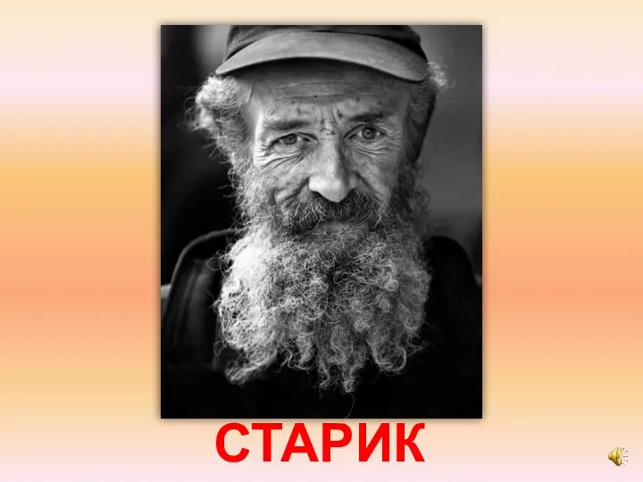 СТАРИК