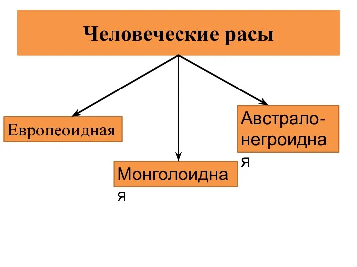 Человеческие расы Европеоидная Монголоидная Австрало-негроидная