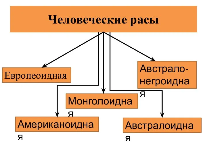 Человеческие расы Европеоидная Монголоидная Австрало-негроидная Американоидная Австралоидная