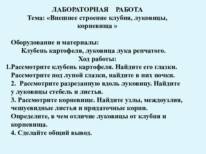 ЛАБОРАТОРНАЯ РАБОТА Тема: «Внешнее строение клубня, луковицы, корневища » Оборудование и материалы: