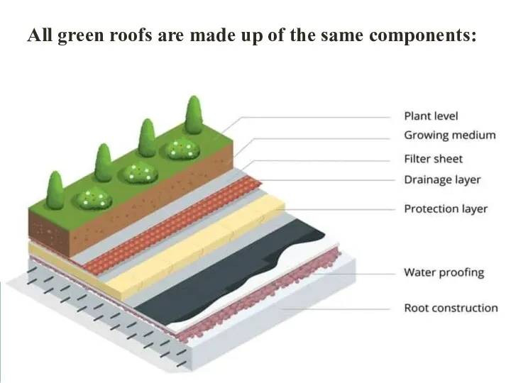 All green roofs are made up of the same components: