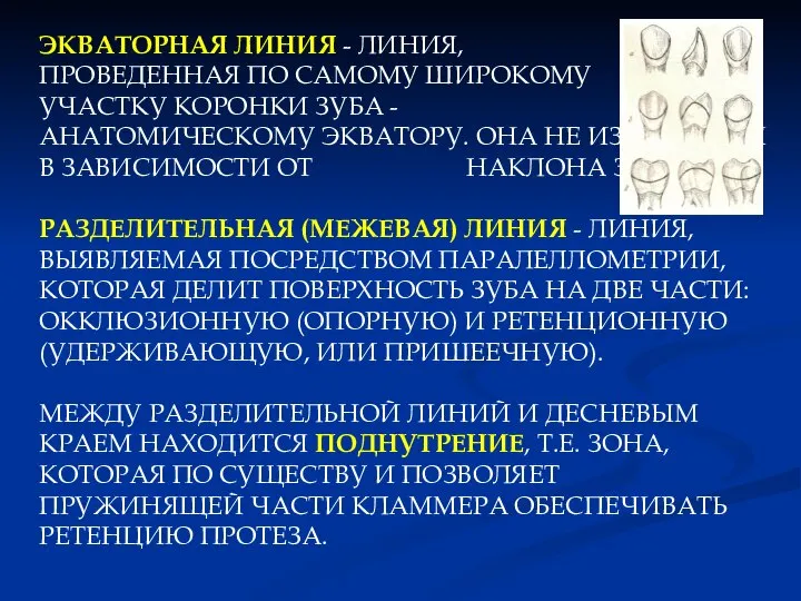 ЭКВАТОРНАЯ ЛИНИЯ - ЛИНИЯ, ПРОВЕДЕННАЯ ПО САМОМУ ШИРОКОМУ УЧАСТКУ КОРОНКИ ЗУБА -