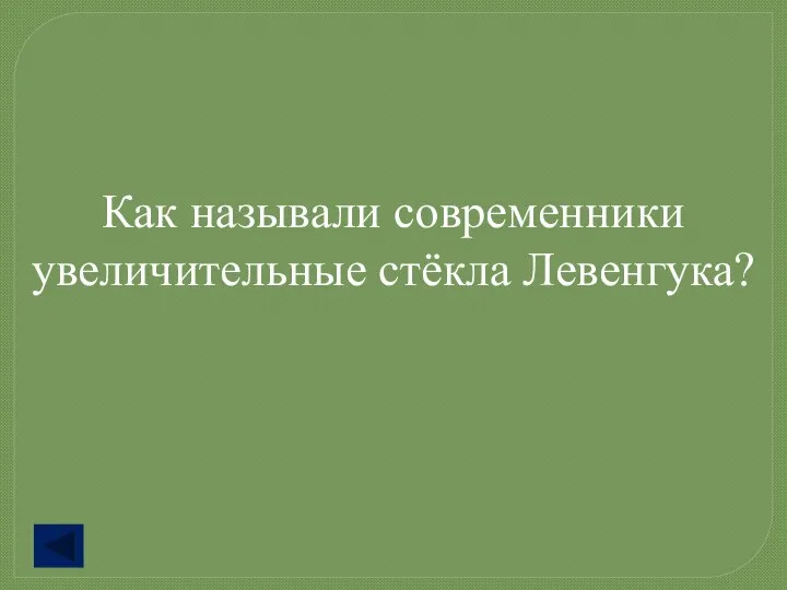 Как называли современники увеличительные стёкла Левенгука?