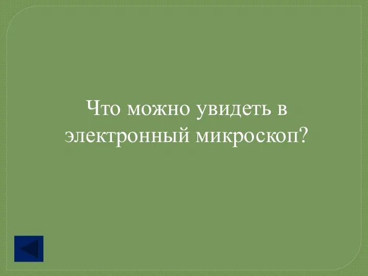 Что можно увидеть в электронный микроскоп?