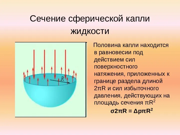 Сечение сферической капли жидкости Половина капли находится в равновесии под действием сил