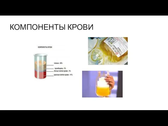 КОМПОНЕНТЫ КРОВИ