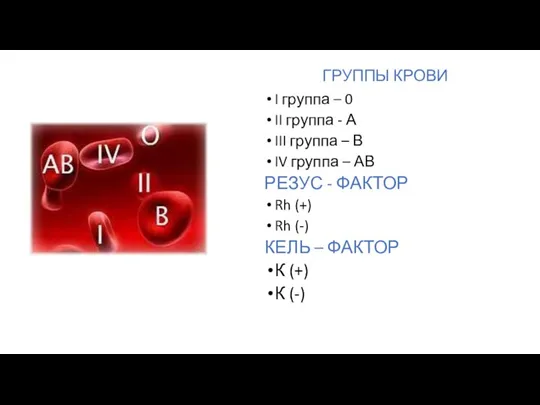 ГРУППЫ КРОВИ I группа – 0 II группа - А III группа