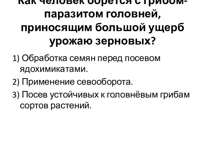 Как человек борется с грибом-паразитом головней, приносящим большой ущерб урожаю зерновых? 1)