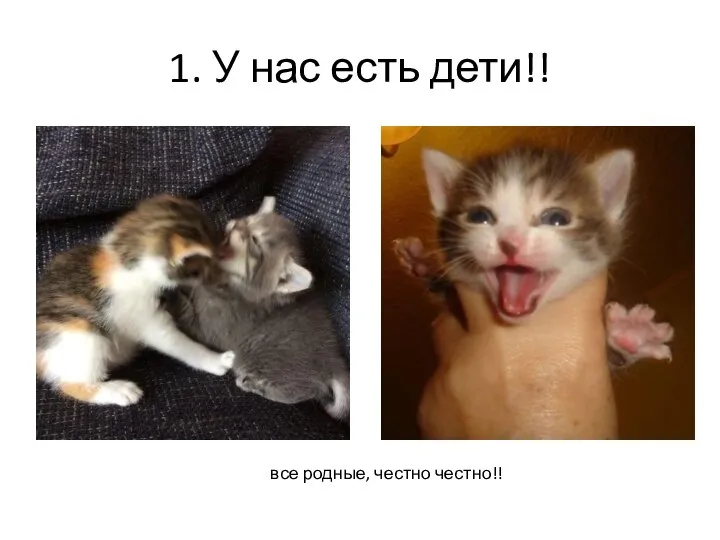 1. У нас есть дети!! все родные, честно честно!!