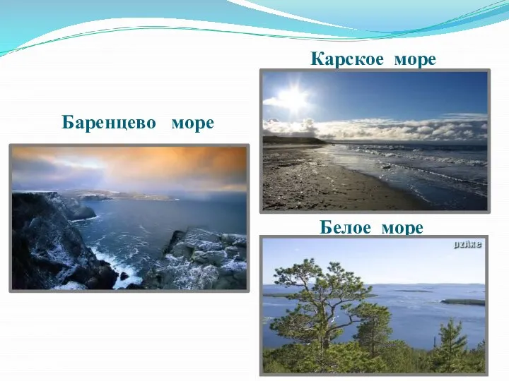 Белое море Баренцево море Карское море