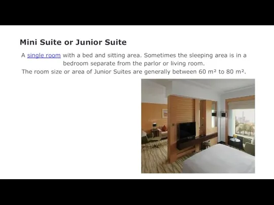 Mini Suite or Junior Suite A single room with a bed and