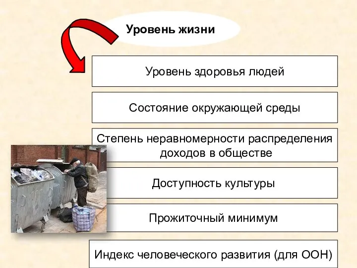 Уровень жизни Уровень здоровья людей Состояние окружающей среды Степень неравномерности распределения доходов