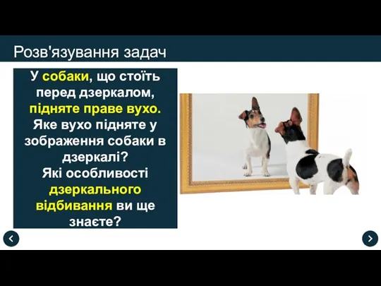 Розв'язування задач У собаки, що стоїть перед дзеркалом, підняте праве вухо. Яке