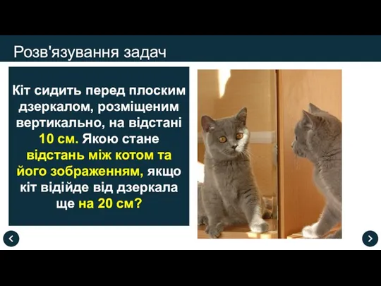 Розв'язування задач Кіт сидить перед плоским дзеркалом, розміщеним вертикально, на відстані 10