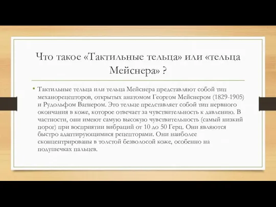 Что такое «Тактильные тельца» или «тельца Мейснера» ? Тактильные тельца или тельца