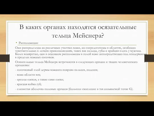 В каких органах находятся осязательные тельца Мейснера? Расположение Они распределены на различных