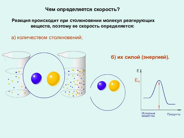 Чем определяется скорость? Реакция происходит при столкновении молекул реагирующих веществ, поэтому ее