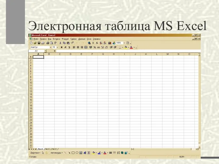 Электронная таблица MS Excel