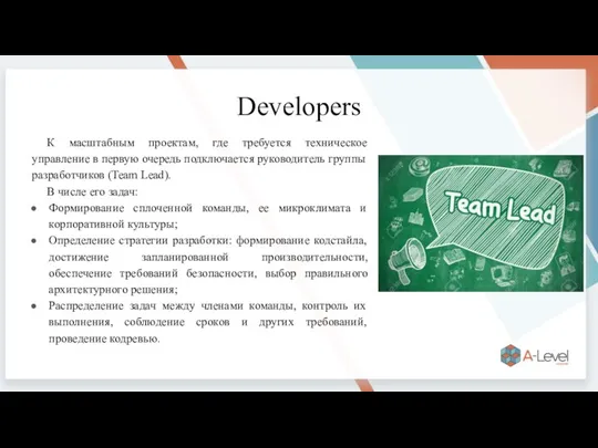 Developers К масштабным проектам, где требуется техническое управление в первую очередь подключается