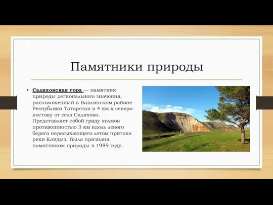 Салиховская гора — памятник природы регионального значения, расположенный в Бавлинском районе Республики