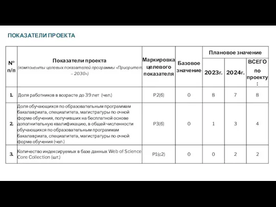 ПОКАЗАТЕЛИ ПРОЕКТА