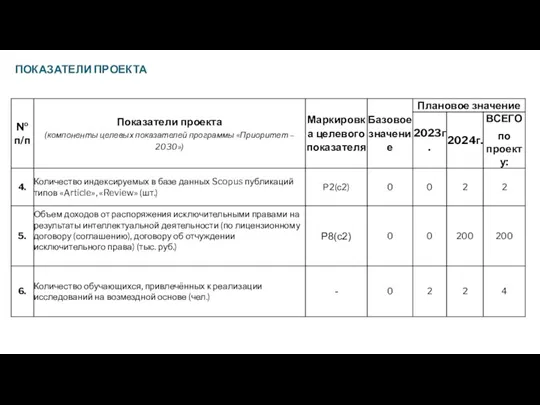 ПОКАЗАТЕЛИ ПРОЕКТА