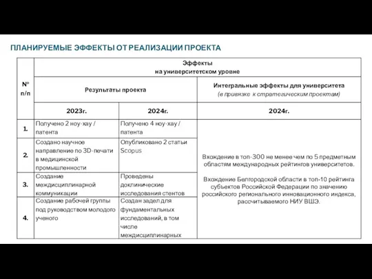 ПЛАНИРУЕМЫЕ ЭФФЕКТЫ ОТ РЕАЛИЗАЦИИ ПРОЕКТА